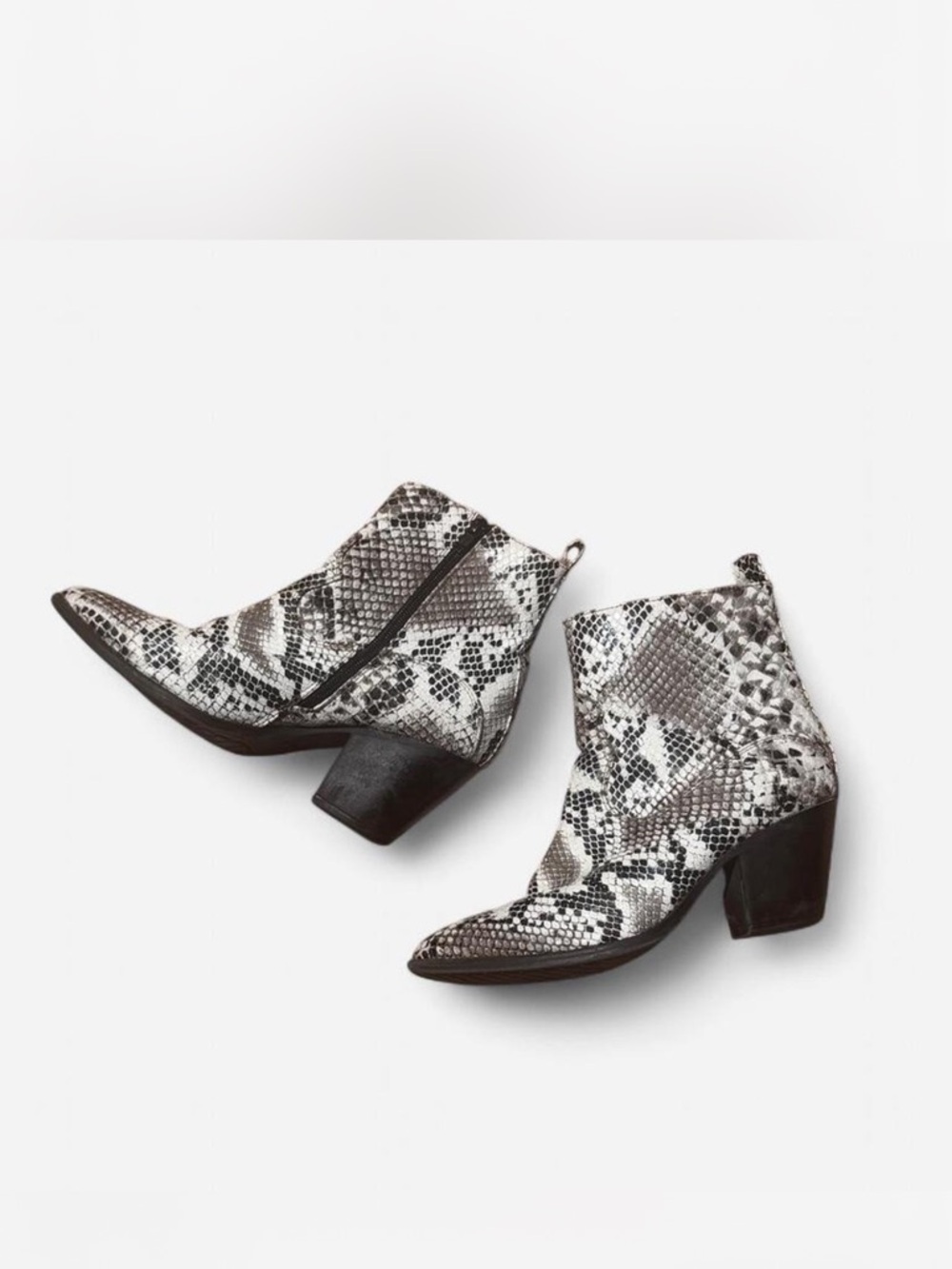Snake-Print Pointed Toe Ankle Boots in Black and White